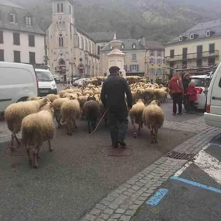 Esprit Montagne Au Coeur De 4 Personnes Laruns